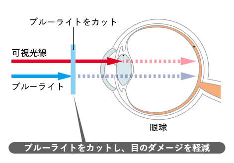 ブルーライトをカットし、目のダメージを軽減